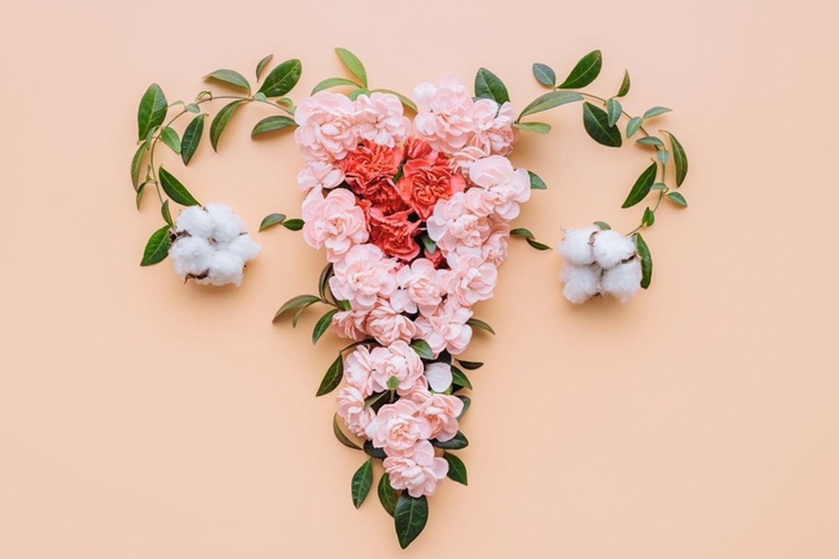 Kapsul Jossket: Rahasia Herbal Alami untuk Merawat Kesehatan dan Keindahan Organ Kewanitaan Kapsul Jossket: Rahasia Herbal Alami untuk Merawat Kesehatan dan Keindahan Organ Kewanitaan