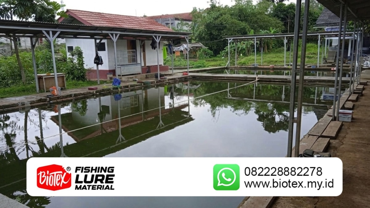 :Suasana Pemancingan Ikan Nusantara :Suasana Pemancingan Ikan Nusantara