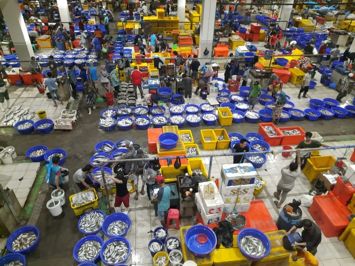 5 Fakta Pasar Ikan Modern Muara Baru Jakarta 5 Fakta Pasar Ikan Modern Muara Baru Jakarta