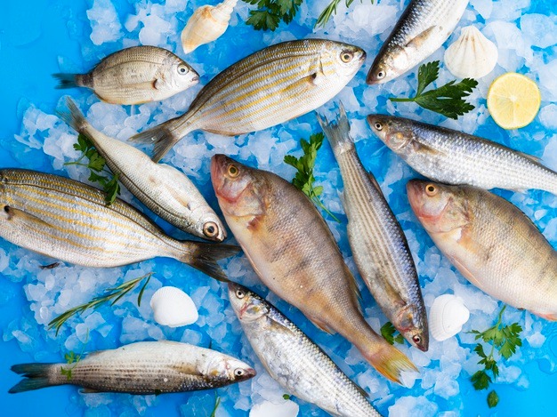 Ini Dia, Lima Cara Memilih Ikan Segar Ini Dia, Lima Cara Memilih Ikan Segar