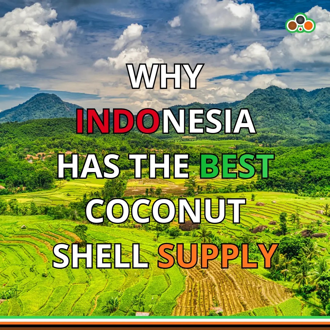 Why Indonesia Has the Best Coconut Shell Supply Why Indonesia Has the Best Coconut Shell Supply
