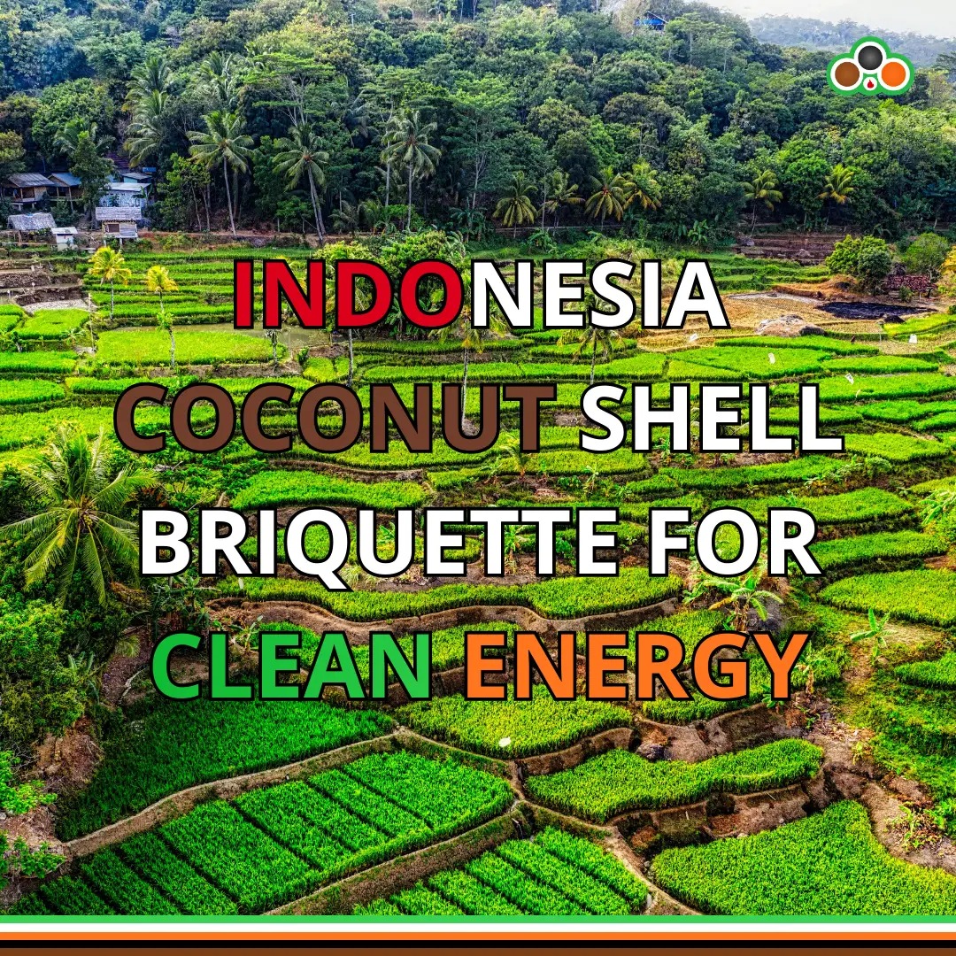 Indonesia Coconut Shell Briquette for Clean Energy Indonesia Coconut Shell Briquette for Clean Energy