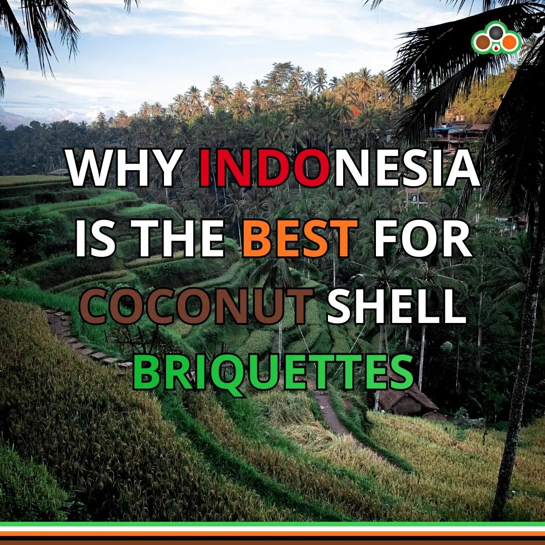 Why Indonesia Is the Best Source for Coconut Shell Briquettes | Quality & Sustainability Why Indonesia Is the Best Source for Coconut Shell Briquettes | Quality & Sustainability
