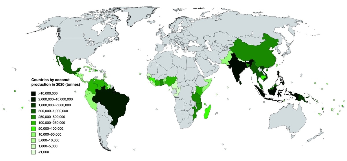Global Coconut Production Map (2020) Global Coconut Production Map (2020)