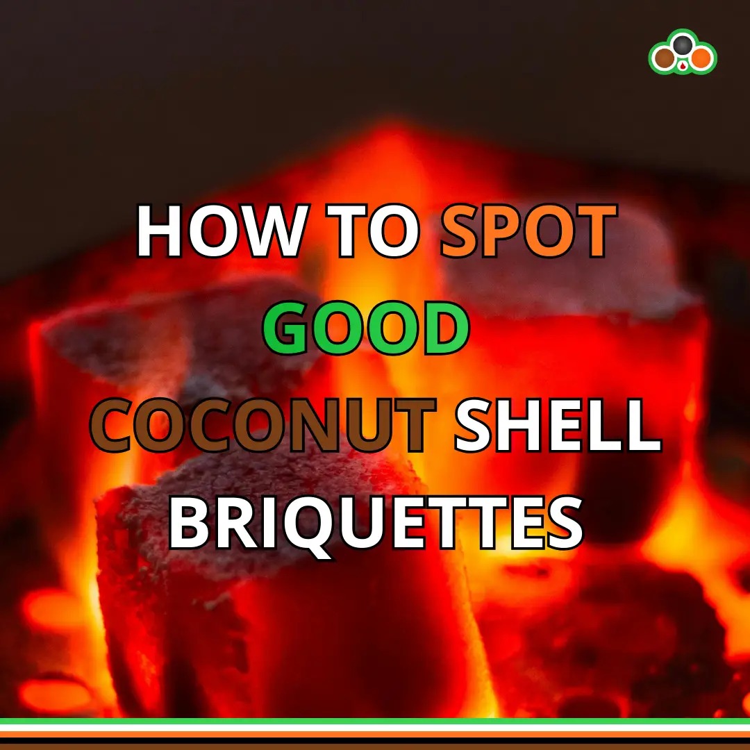 How to Spot Good Coconut Shell Briquettes | Quality Identification Guide How to Spot Good Coconut Shell Briquettes | Quality Identification Guide