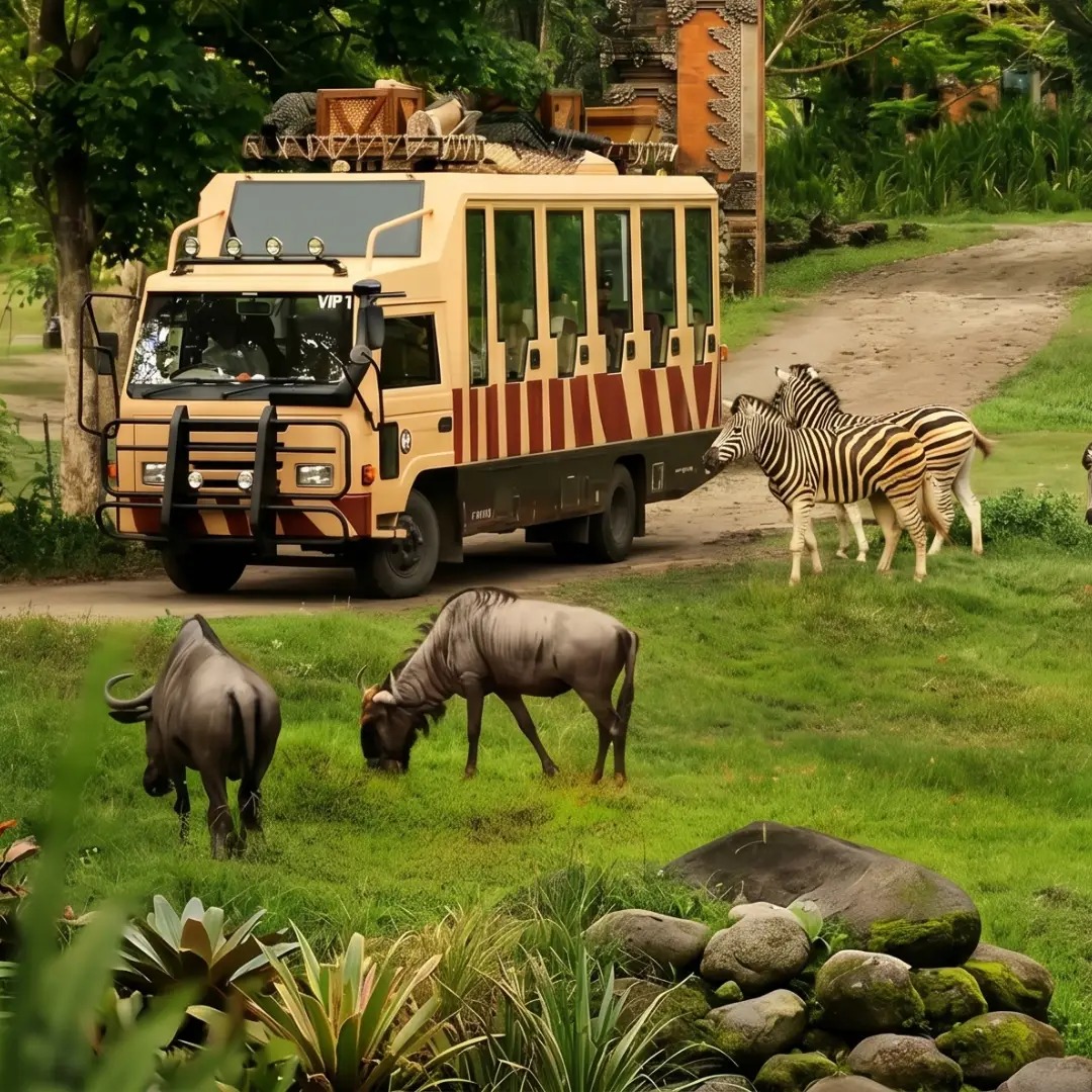 Bali Safari Bali Safari