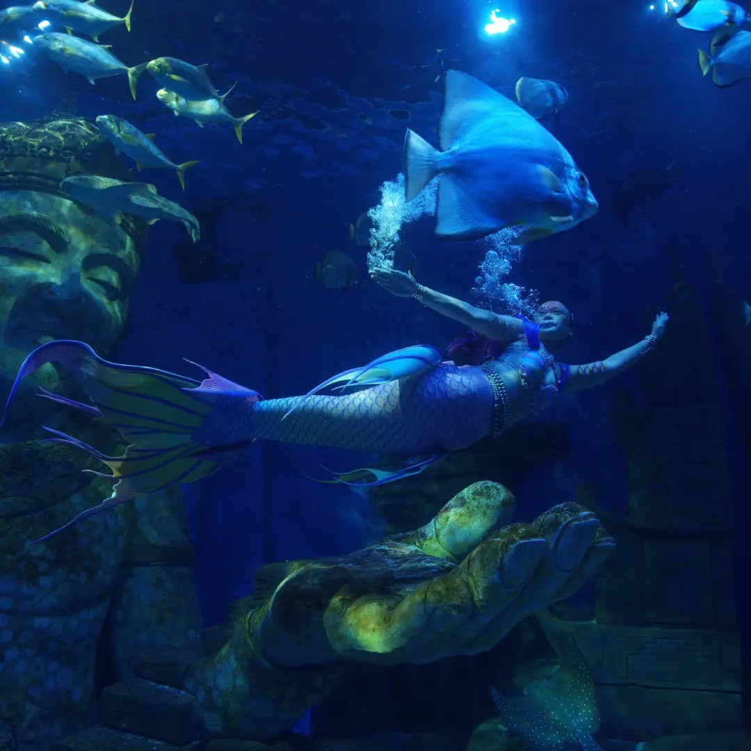mermaid show dari coral breeze studio mermaid show dari coral breeze studio