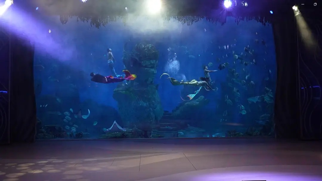 Coral Breeze Studio Menyediakan Mermaid Show untuk Berbagai Event Coral Breeze Studio Menyediakan Mermaid Show untuk Berbagai Event