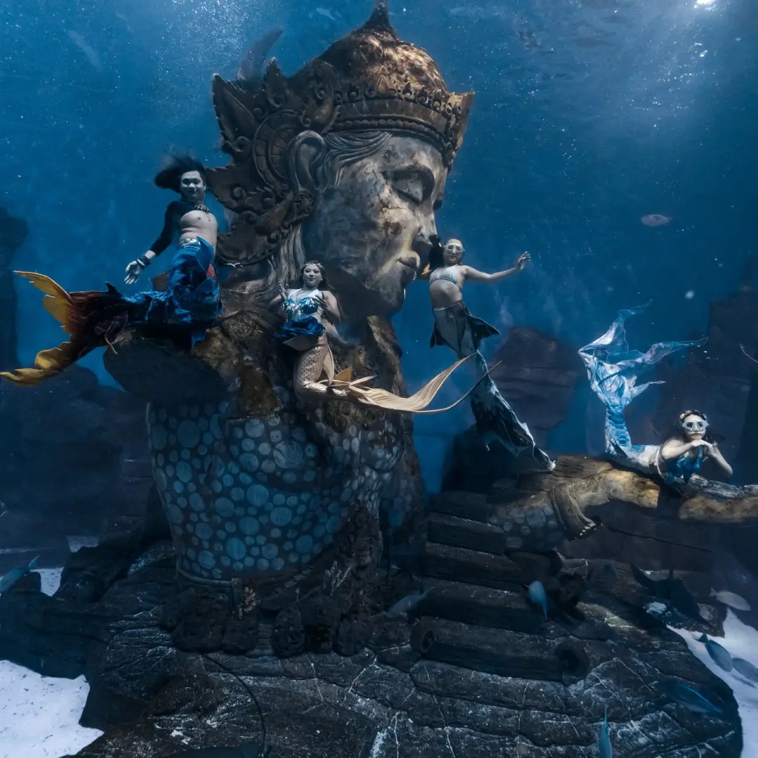 mermaid performance dari coral breeze studio mermaid performance dari coral breeze studio