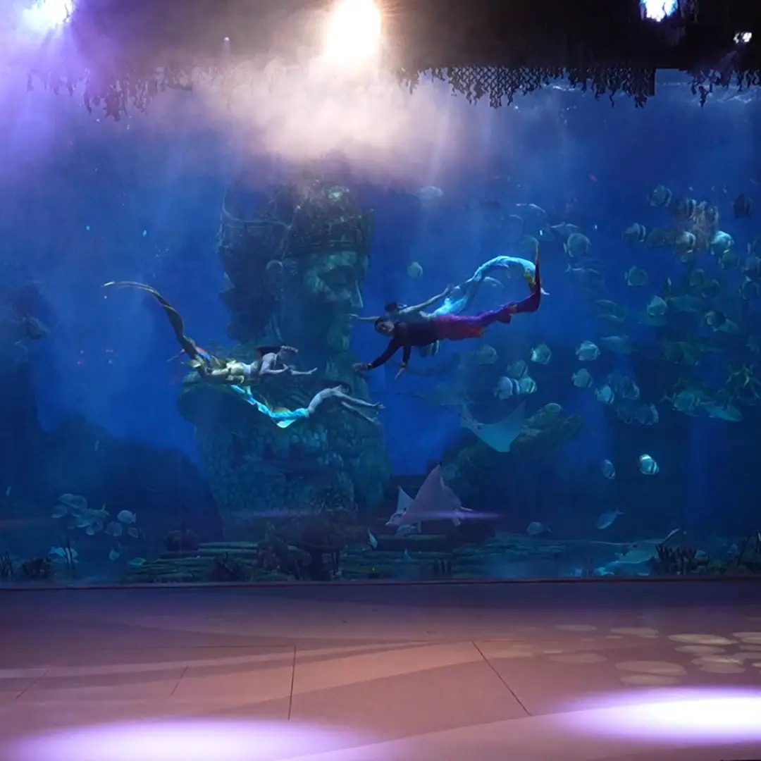 mermaid performance coral breeze studio mermaid performance coral breeze studio