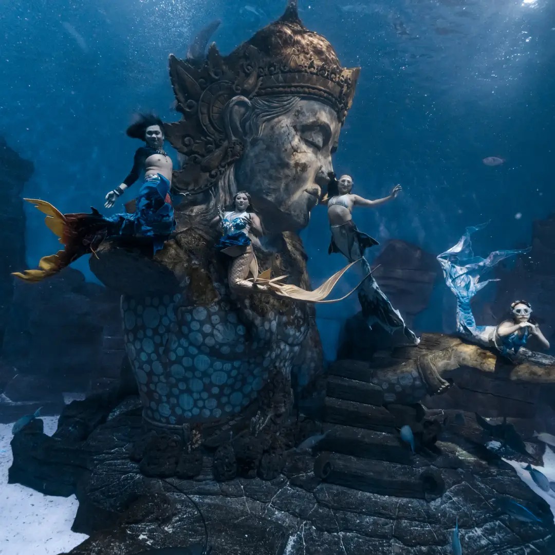 Professional Mermaid Performance CBS Professional Mermaid Performance CBS