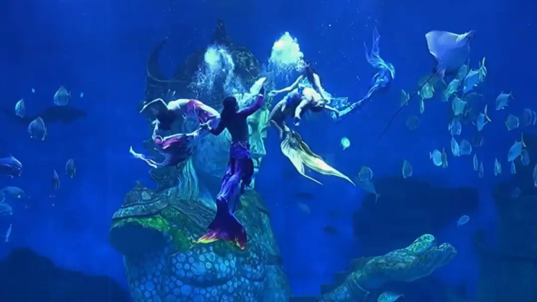 CARI MERMAID PERFORMER? Pilih Professional Mermaid Performance by Coral Breeze Studio CARI MERMAID PERFORMER? Pilih Professional Mermaid Performance by Coral Breeze Studio
