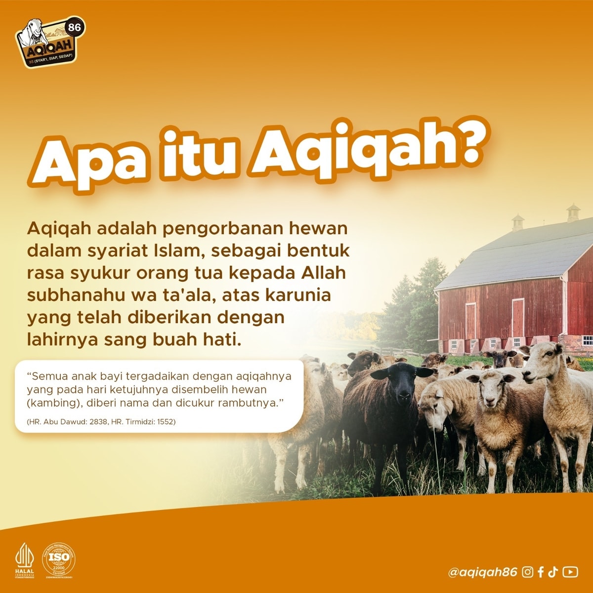 Apa itu Aqiqah? Dan bagaimana Hukum Aqiqah? Apa itu Aqiqah? Dan bagaimana Hukum Aqiqah?