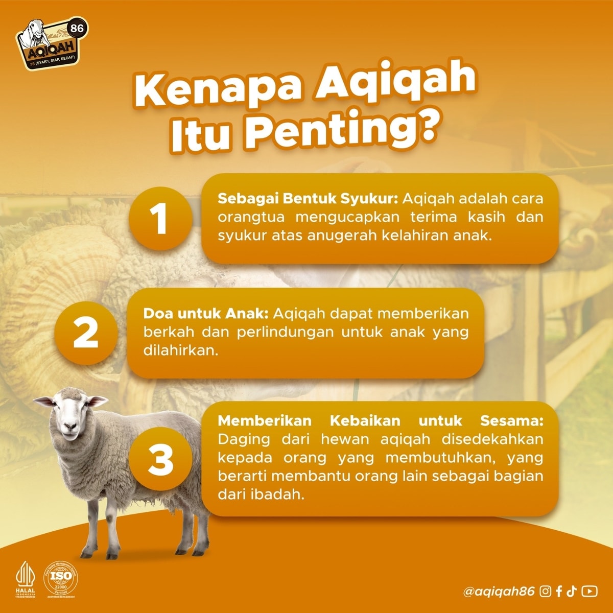 Kenapa Aqiqah Itu Penting untuk Buah Hati dan Keluarga? Kenapa Aqiqah Itu Penting untuk Buah Hati dan Keluarga?