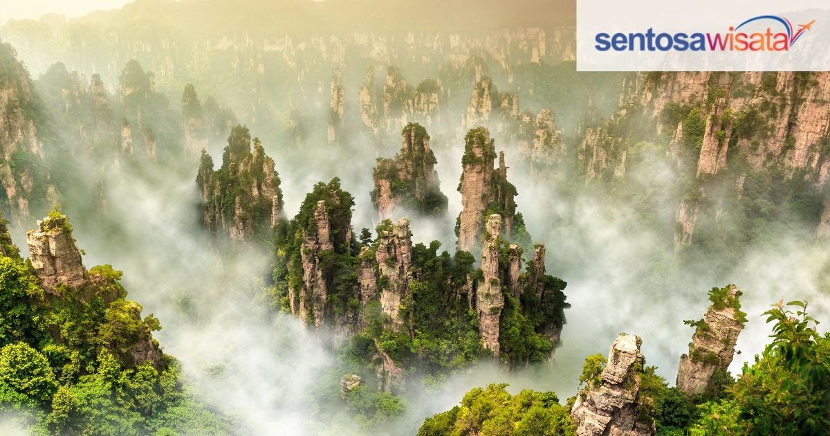 Zhangjiajie: Rekomendasi destinasi dan tips traveling Zhangjiajie: Rekomendasi destinasi dan tips traveling