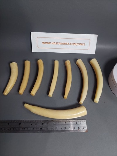 PipaDuyung PipaDuyung