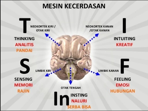 Apa itu STIFIn ? Apa itu STIFIn ?