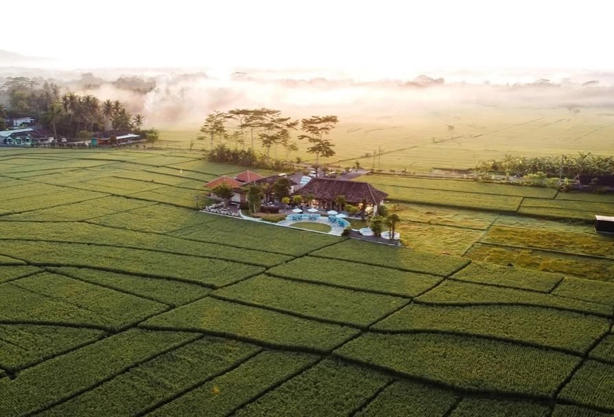 Source : https://jogja.akurat.co