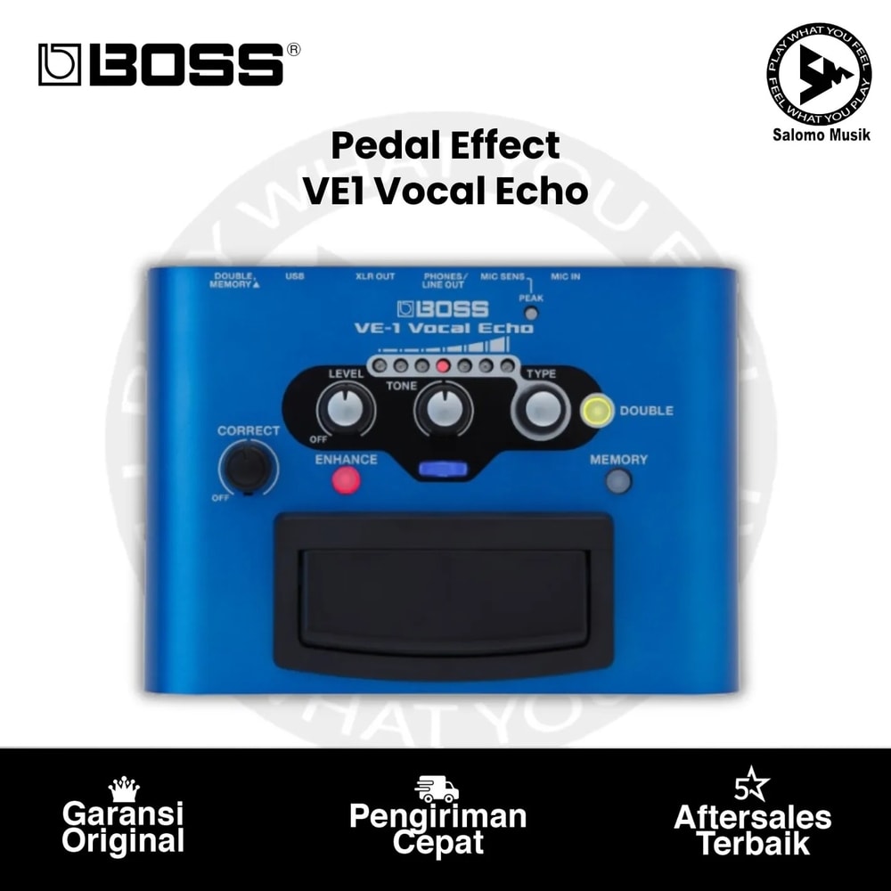 Pedal Vocal Effect BOSS VE-1 Vocal Effect Echo Original