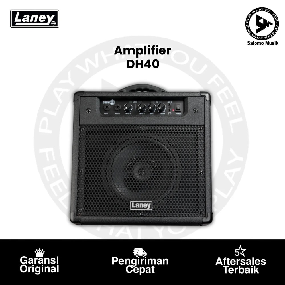Amplifier Laney DH40