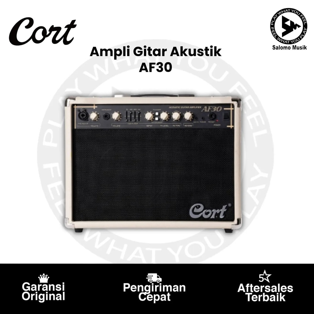 Ampli Gitar Akustik Cort AF30