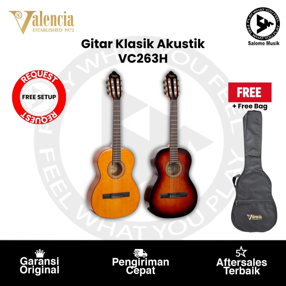 Gitar Klasik Akustik Valencia VC263H Hybrid 3/4 Varian Warna + Free Bag