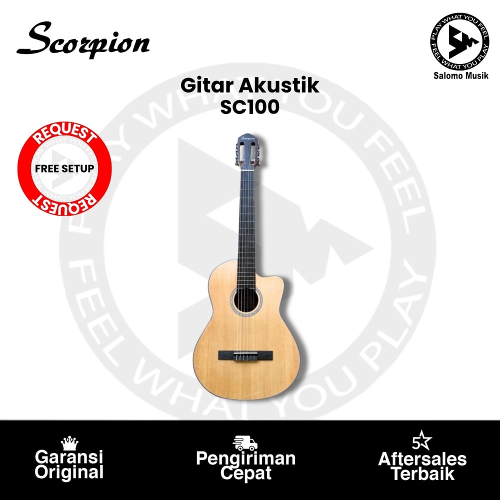 Gitar Akustik Scorpion SC100