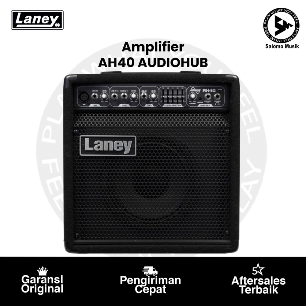 Amplifier Laney AH40 AUDIOHUB Multi-Input Combo 40W 8 Inch Woofer