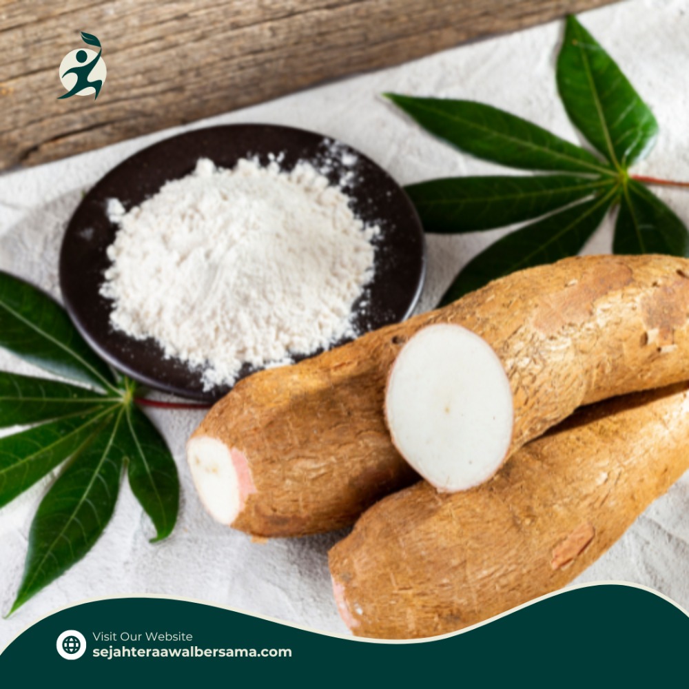 Exploring the Flour Spectrum: Tapioca Flour VS Modified Cassava Flour