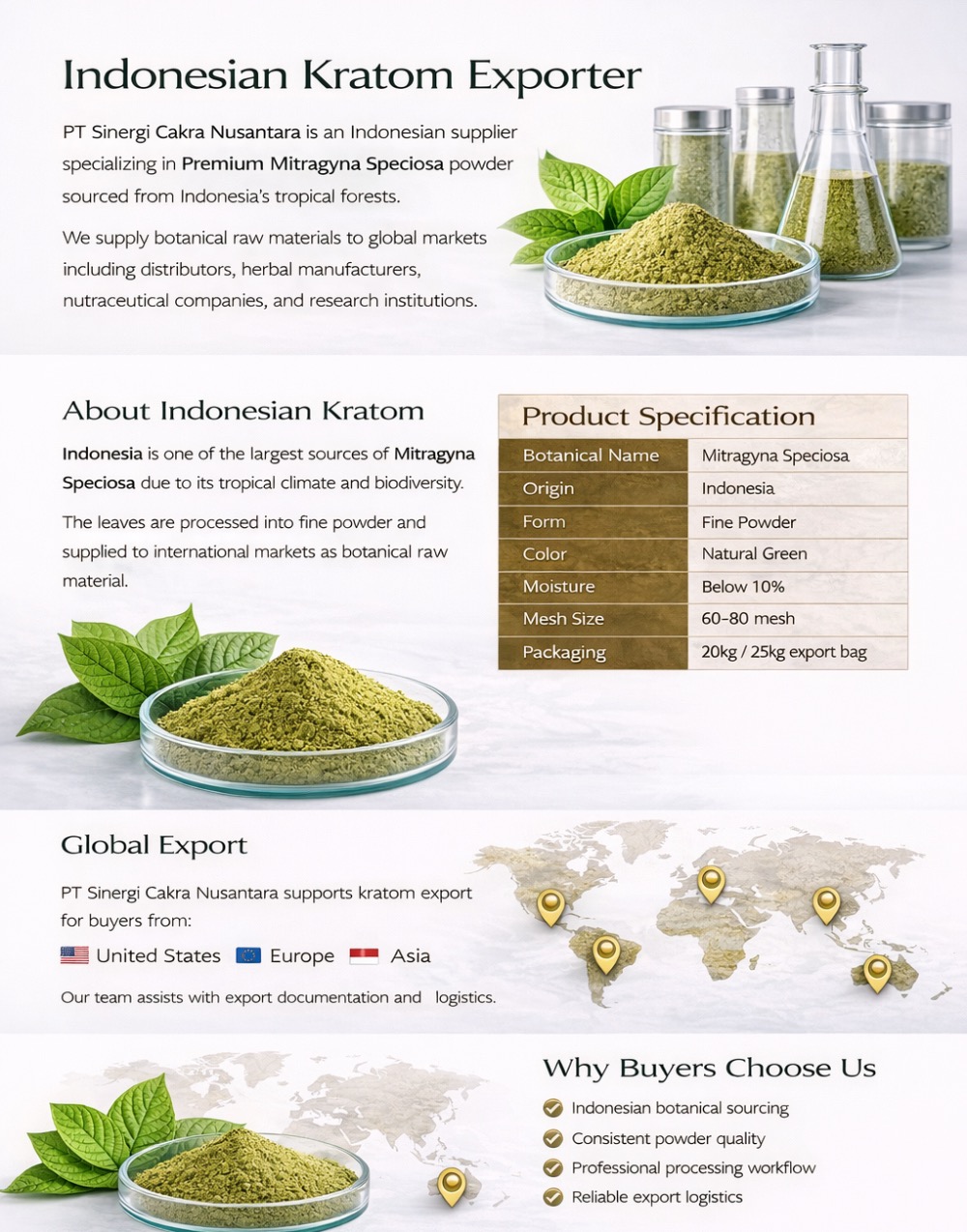 Indonesia Kratom Exporter - Sinergi Cakra Nusantara