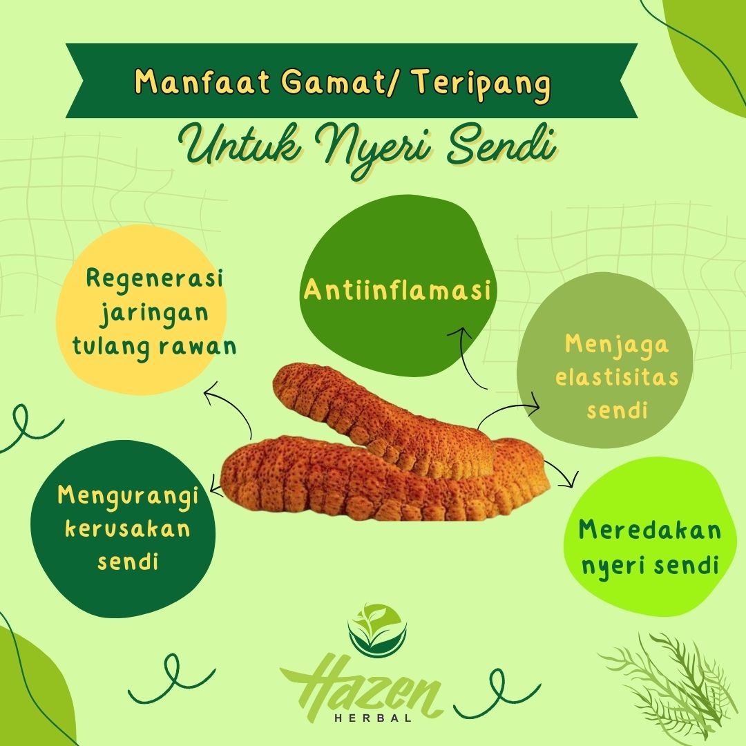 GAMAT KAPSUL HNI UNTUK NYERI SENDI