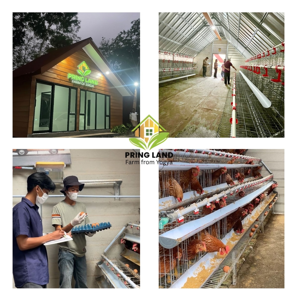 Foto Real Dilapangan