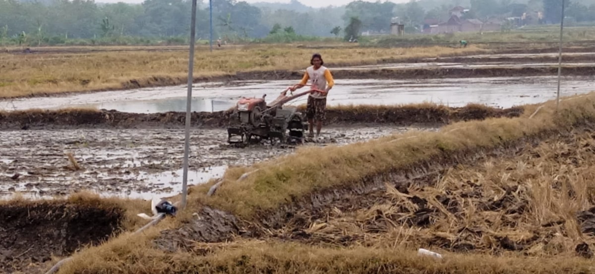 Hujan, Rezeki Petani