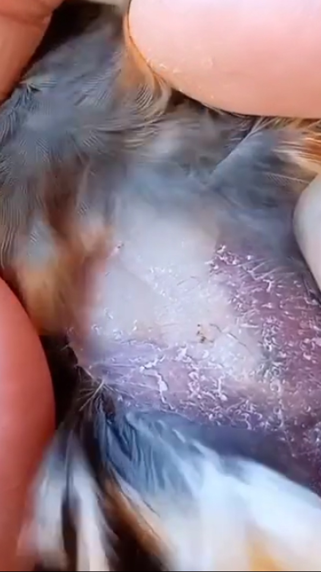 -