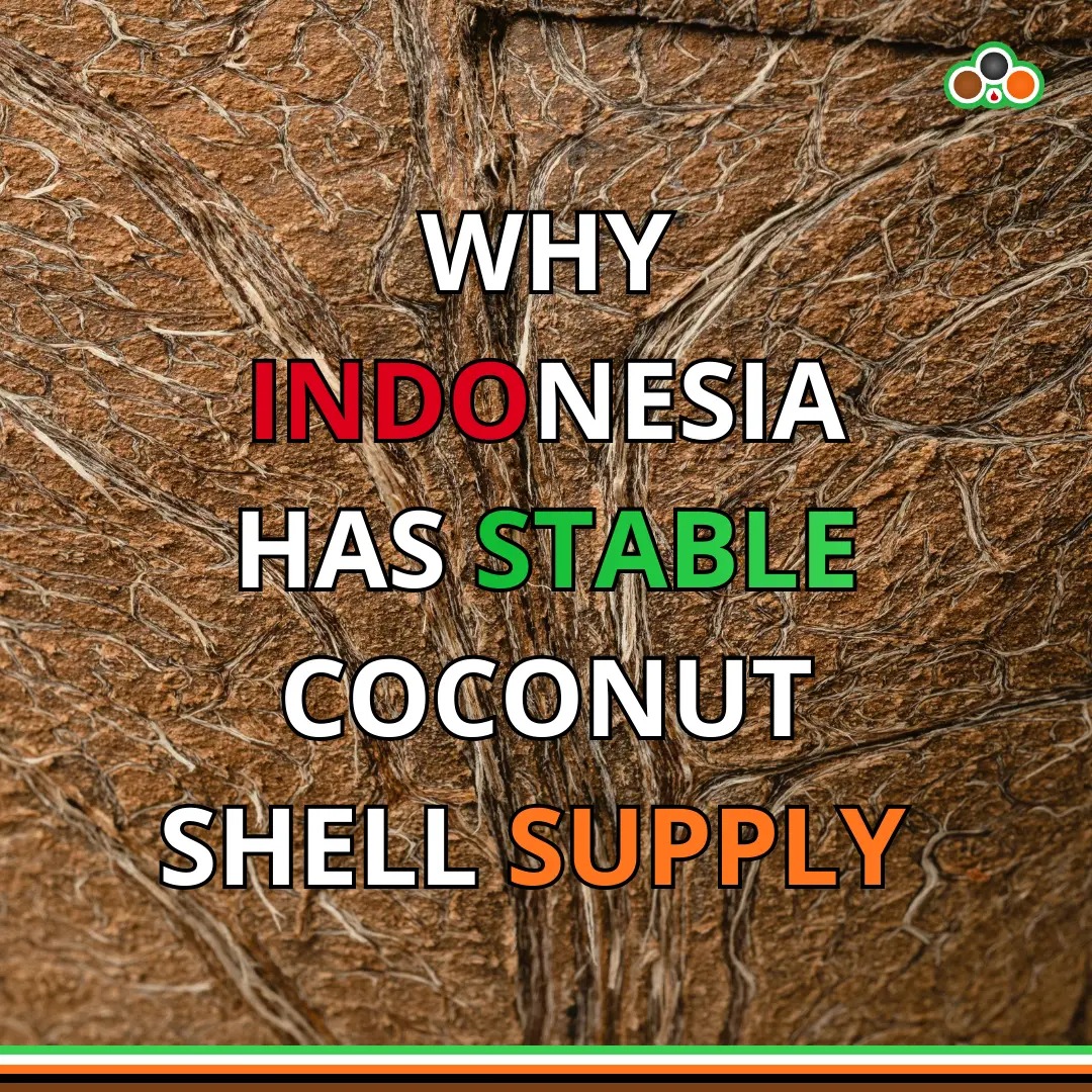 Why Indonesia Has Stable Coconut Shell Supply Year-Round