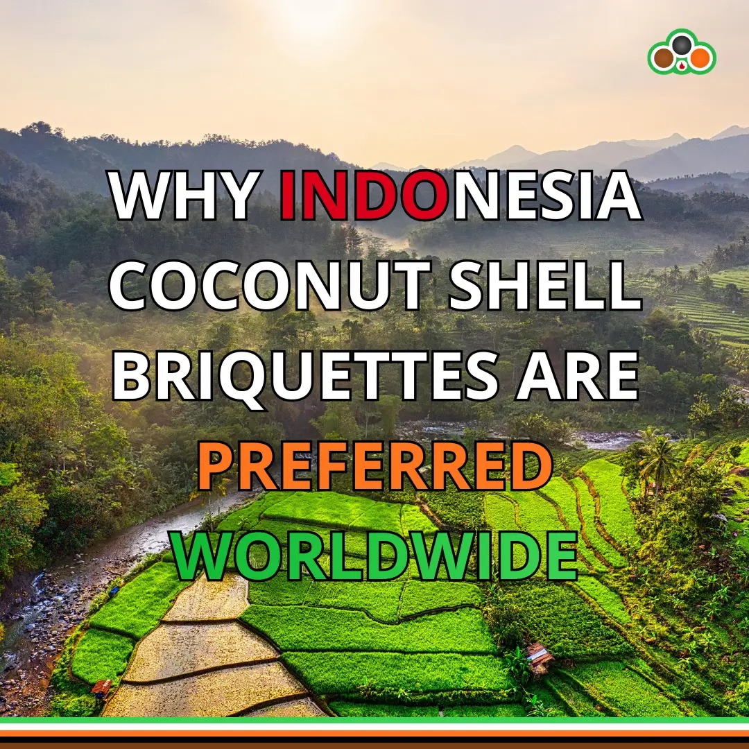 Why Indonesian Coconut Shell Briquettes Are Preferred Worldwide
