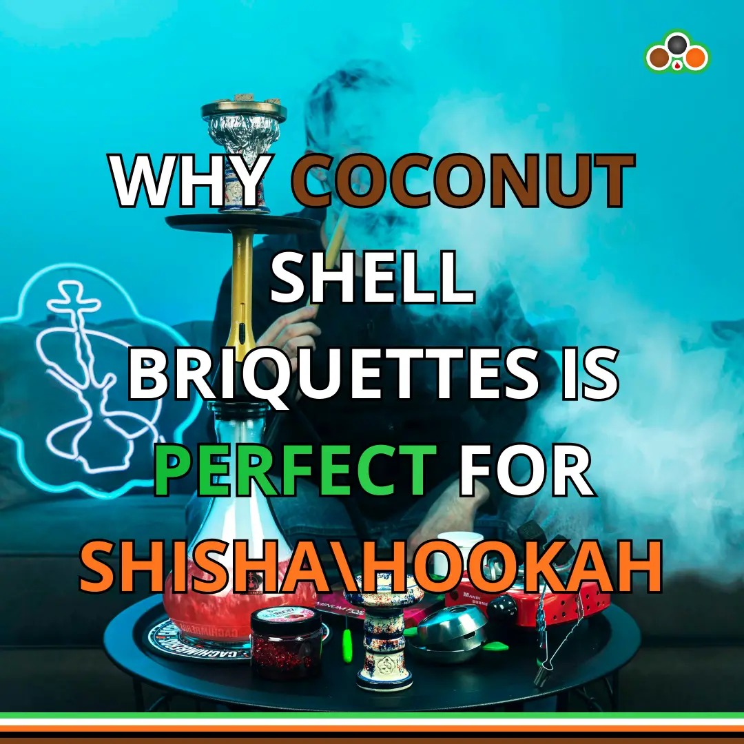 Why Coconut Shell Briquettes Are Perfect for Shisha | Clean Burn & Long Heat