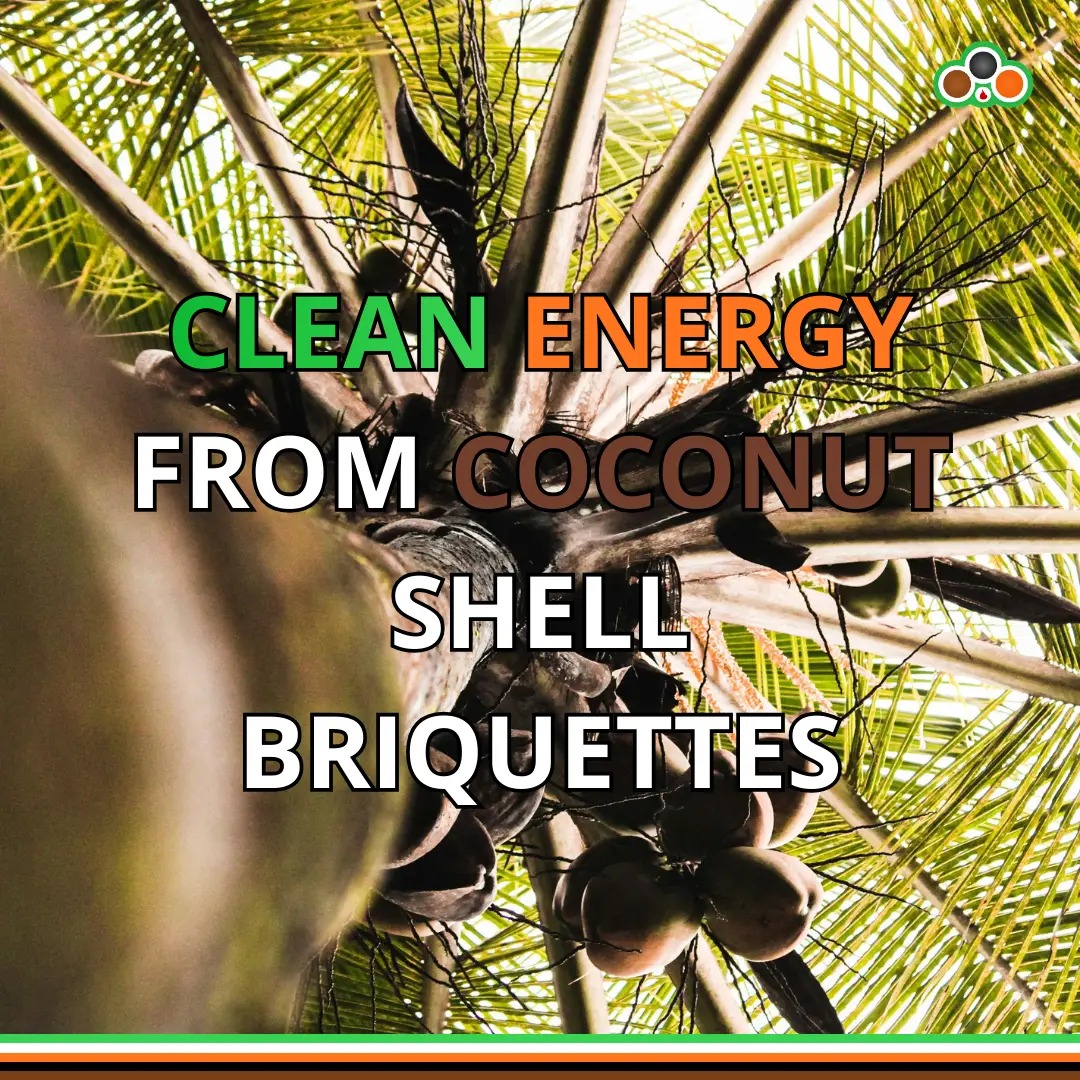 Clean energy from coconut shell briquettes