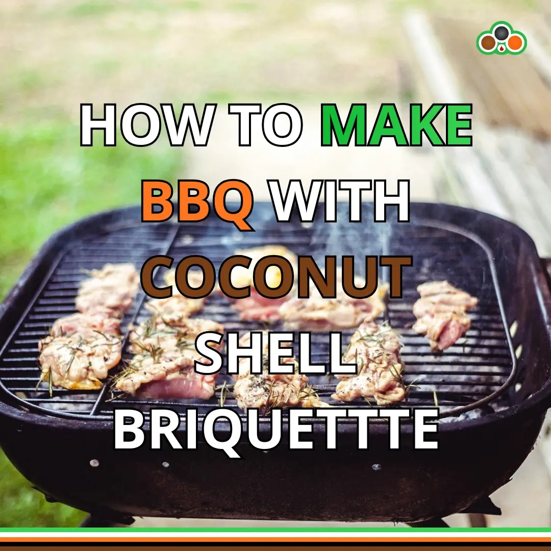 How to Make BBQ with Coconut Shell Briquettes | Step-by-Step Grilling Guide