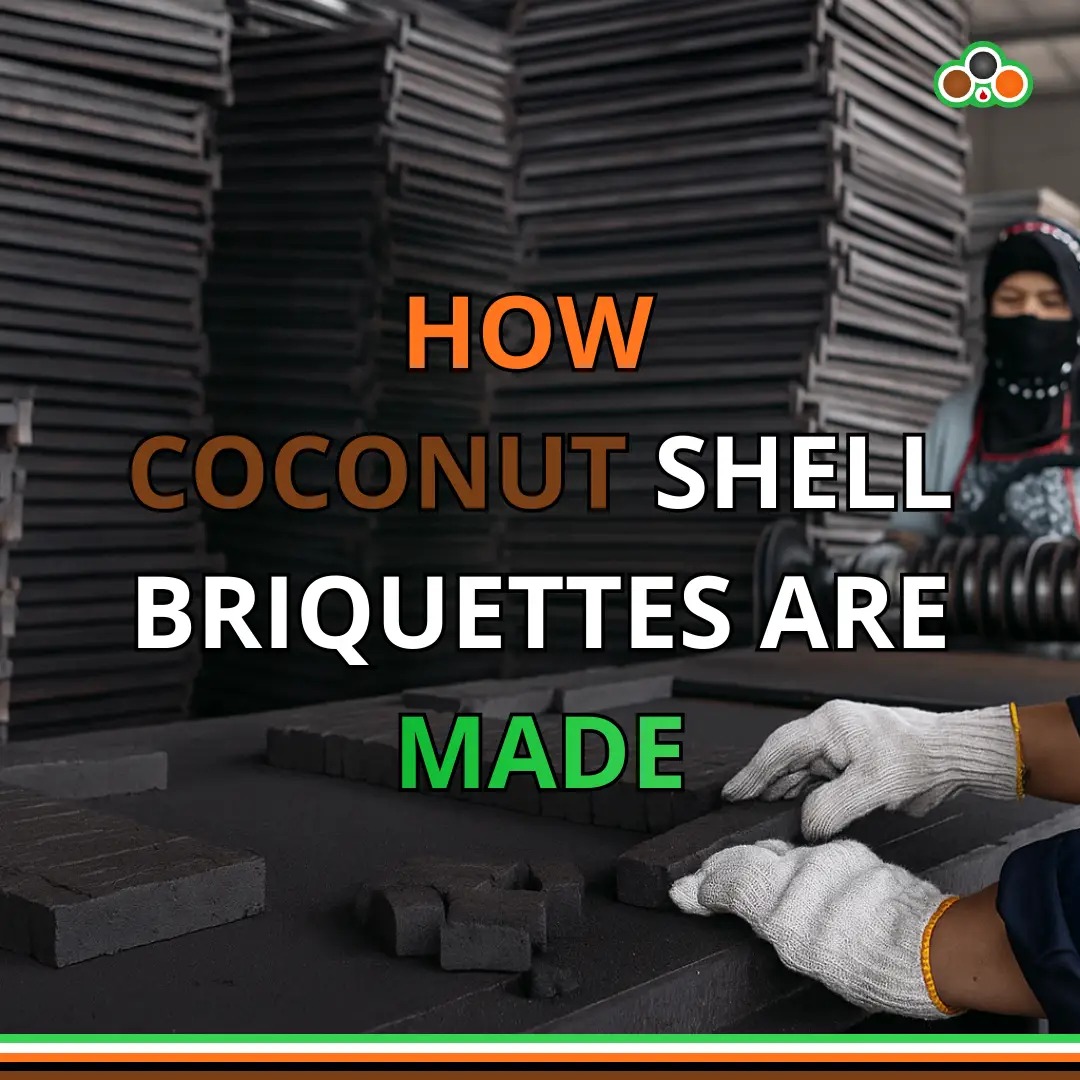 How Coconut Shell Briquettes Are Made | Step-by-Step Process
