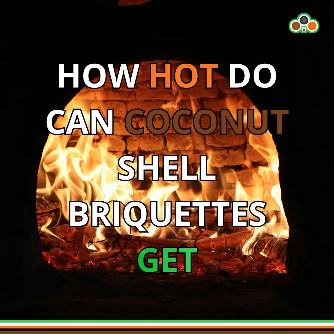 How Hot Do Coconut Shell Briquettes Get | Temperature & Burn Time Guide