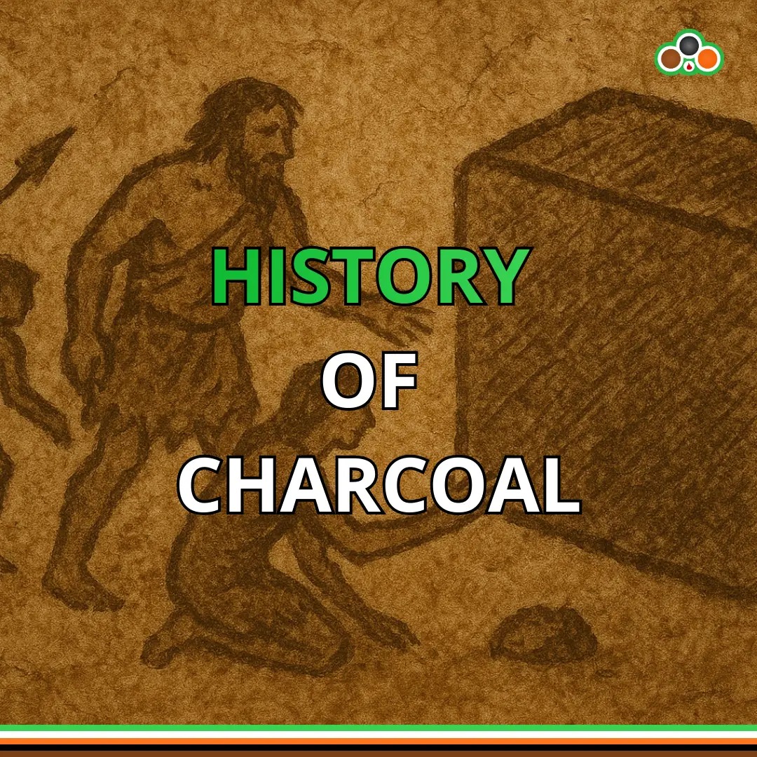 The History of Charcoal | From Prehistoric Fire to Modern Briquettes
