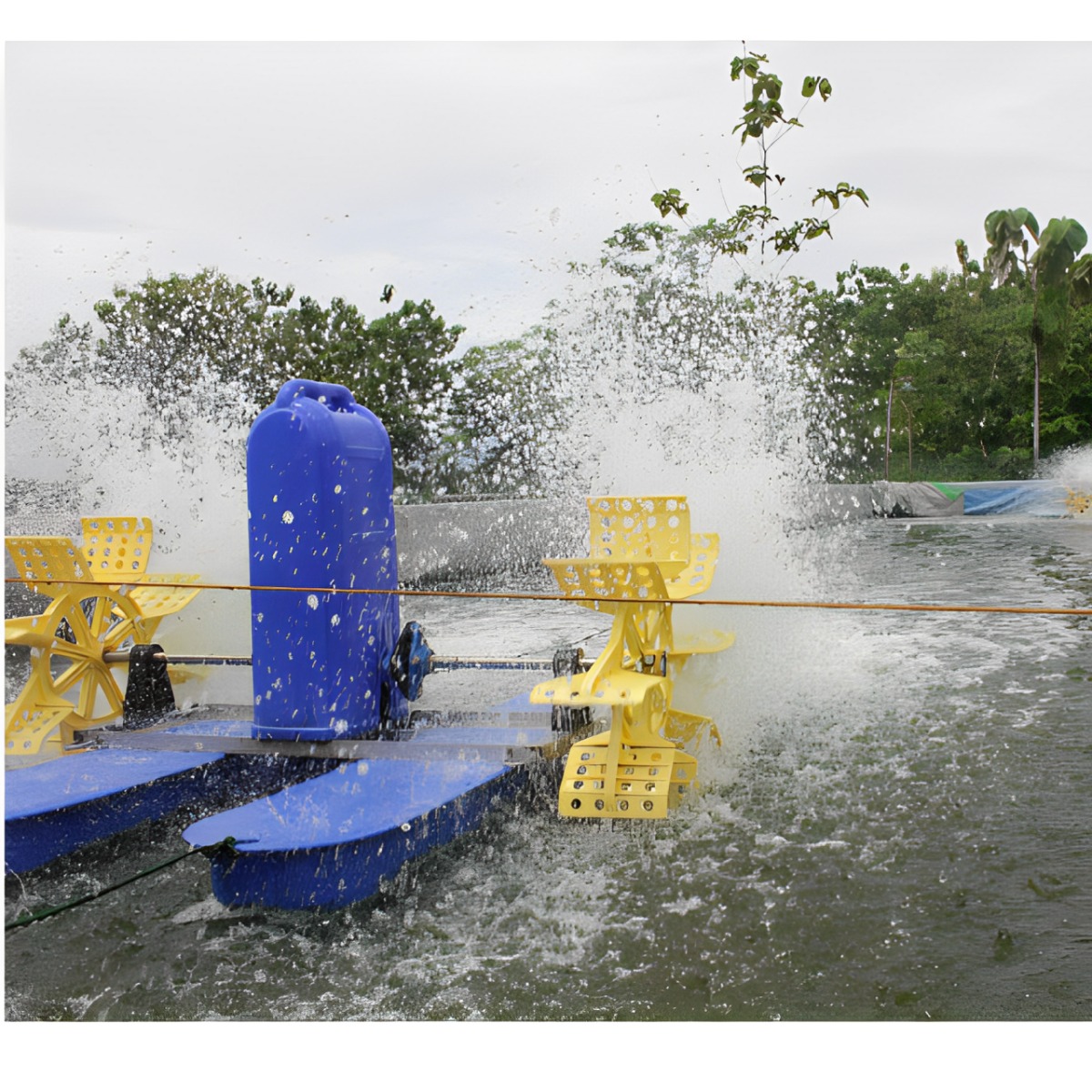 Paddle Wheel Aerator