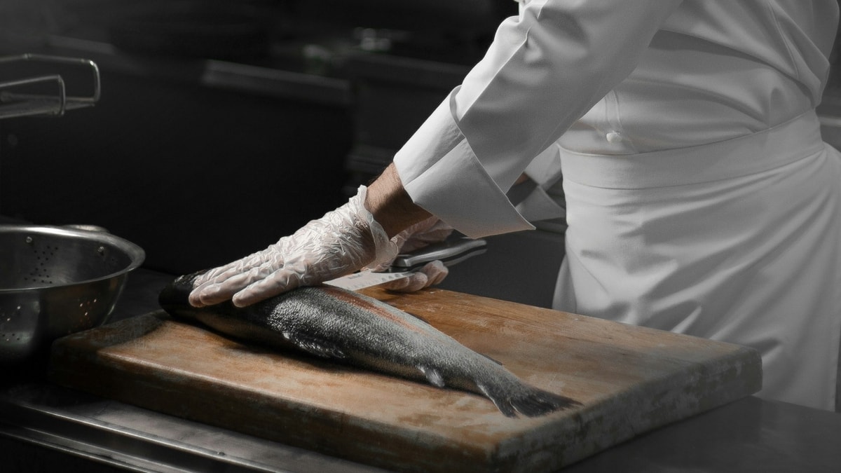 Photo by: Arsham Baseri