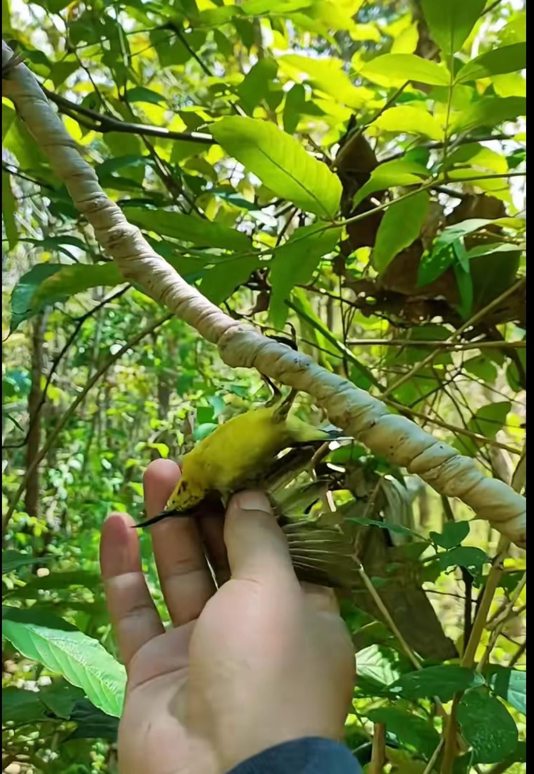 -