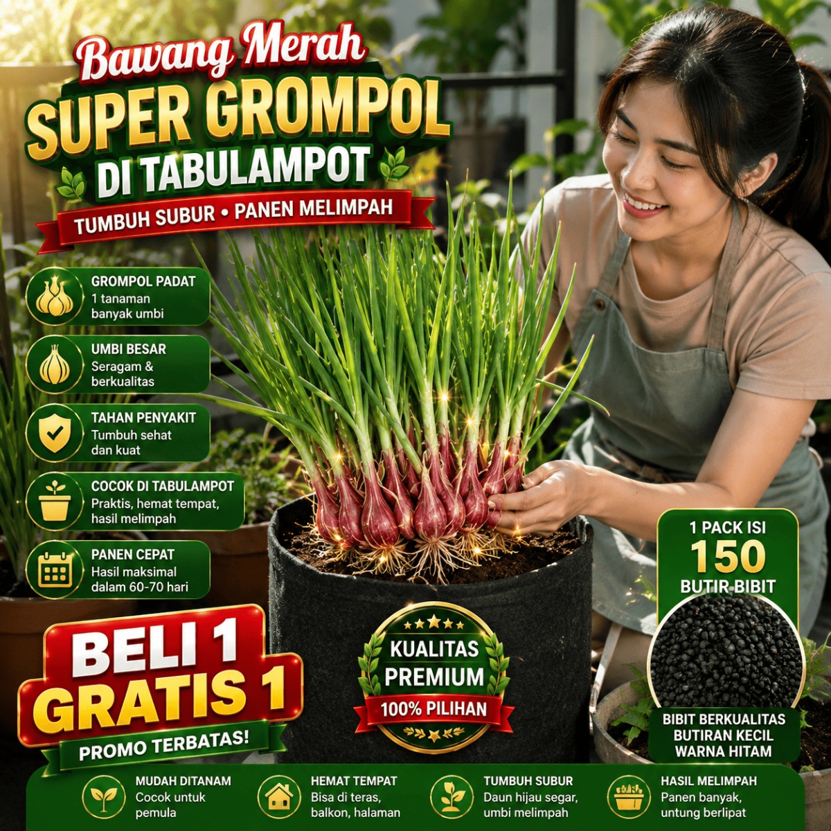 Benih Bawang Merah Lokanata