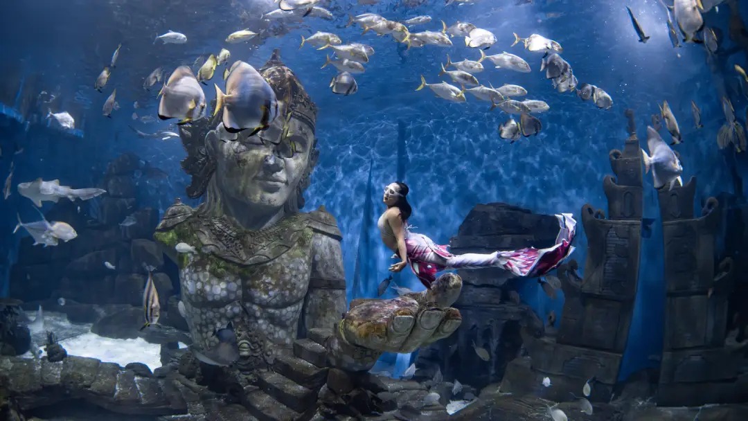 fun dive mermaiding di varuna bali bersama coral breeze studio