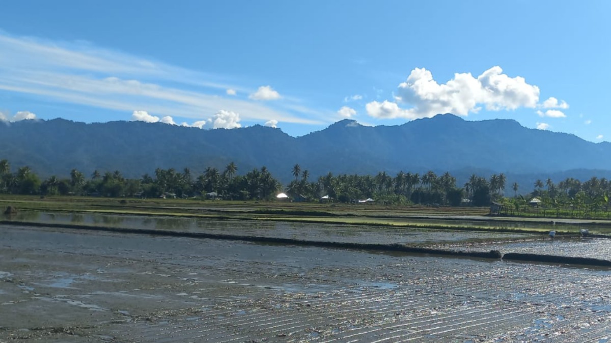 Foto Kredit: Iriyanto Otolomo -2025