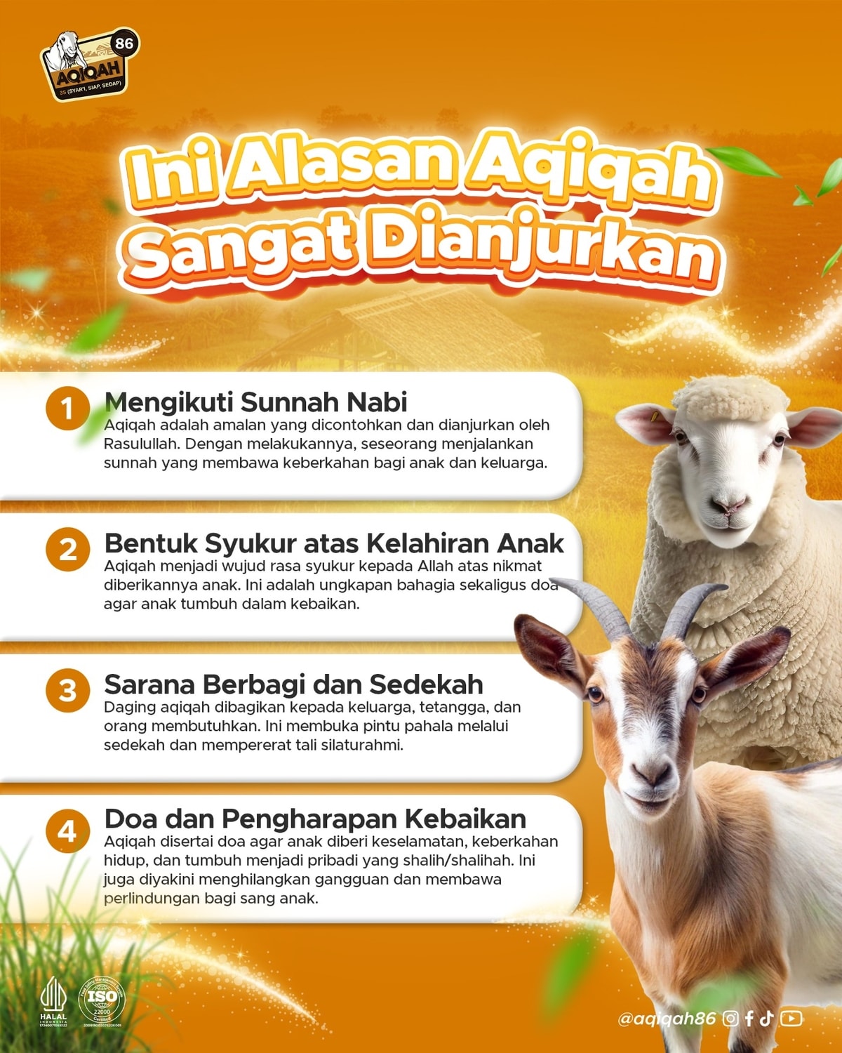 Mengapa Aqiqah Penting? Ini 4 Alasan Utama yang Harus Diketahui Orang Tua Muslim