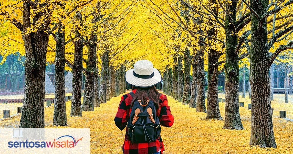 Nami Island, Surga Alam dan Budaya Korea yang Kental